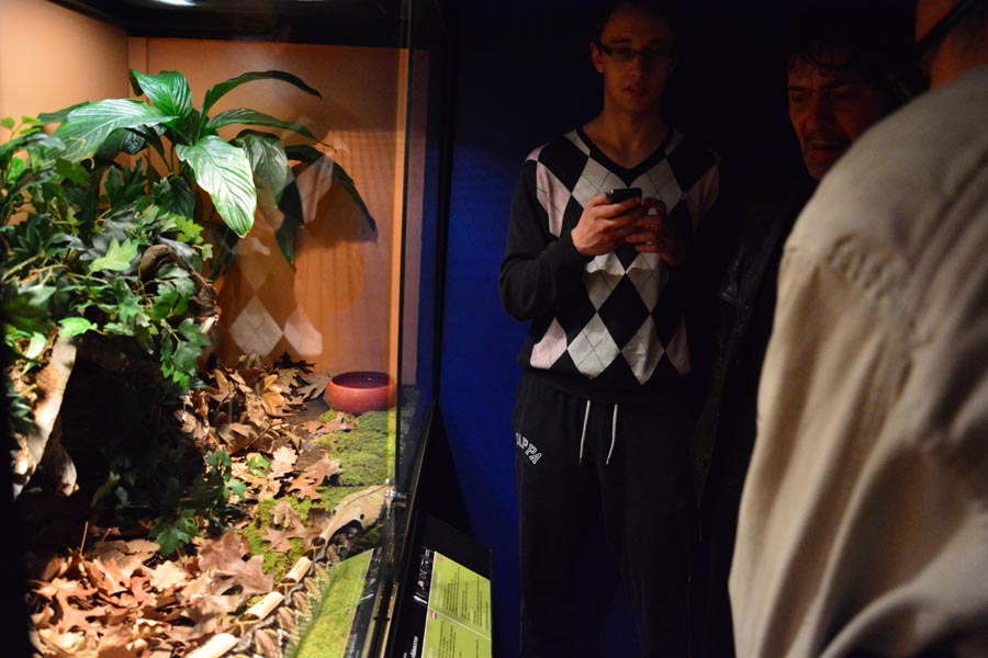 Otvorenje izložbe “Zmije – opasna ljepota”, foto: Iva Perinčić Otvorenje izložbe “Zmije – opasna ljepota”, foto: Iva Perinčić