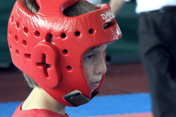 Kickbokseri KBK Benkovac nastupili u Tesnju (BIH), Foto: Sasa Cuka