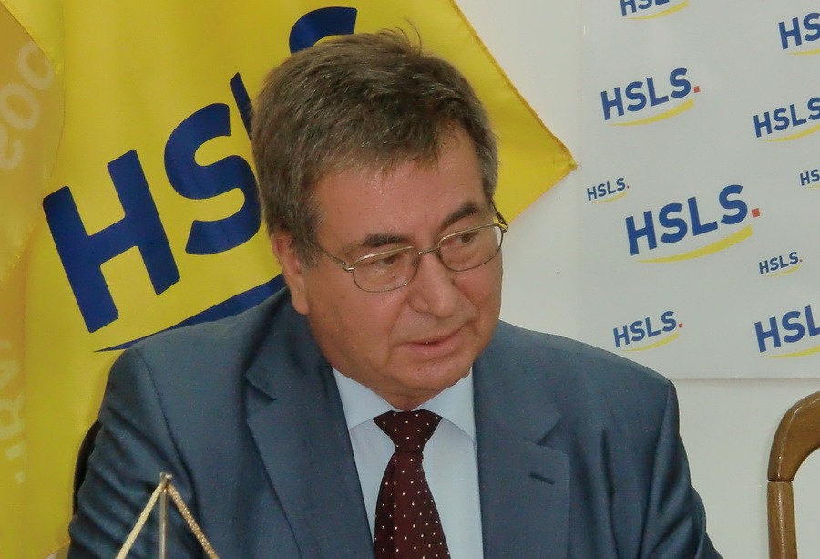 Dražen Budiša, HSLS Dražen Budiša, HSLS