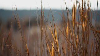 Đir uz Vransko jezero, Foto: Iva Perinić Đir uz Vransko jezero, Foto: Iva Perinić