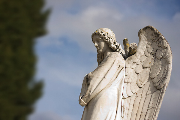 Gradsko groblje uoči blagdana Svih svetih (foto:Saša Čuka) Gradsko groblje uoči blagdana Svih svetih (foto:Saša Čuka)