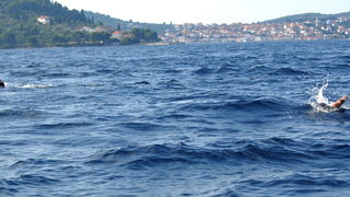 42. plivački maraton Preko – Zadar, Foto: PK Zadar