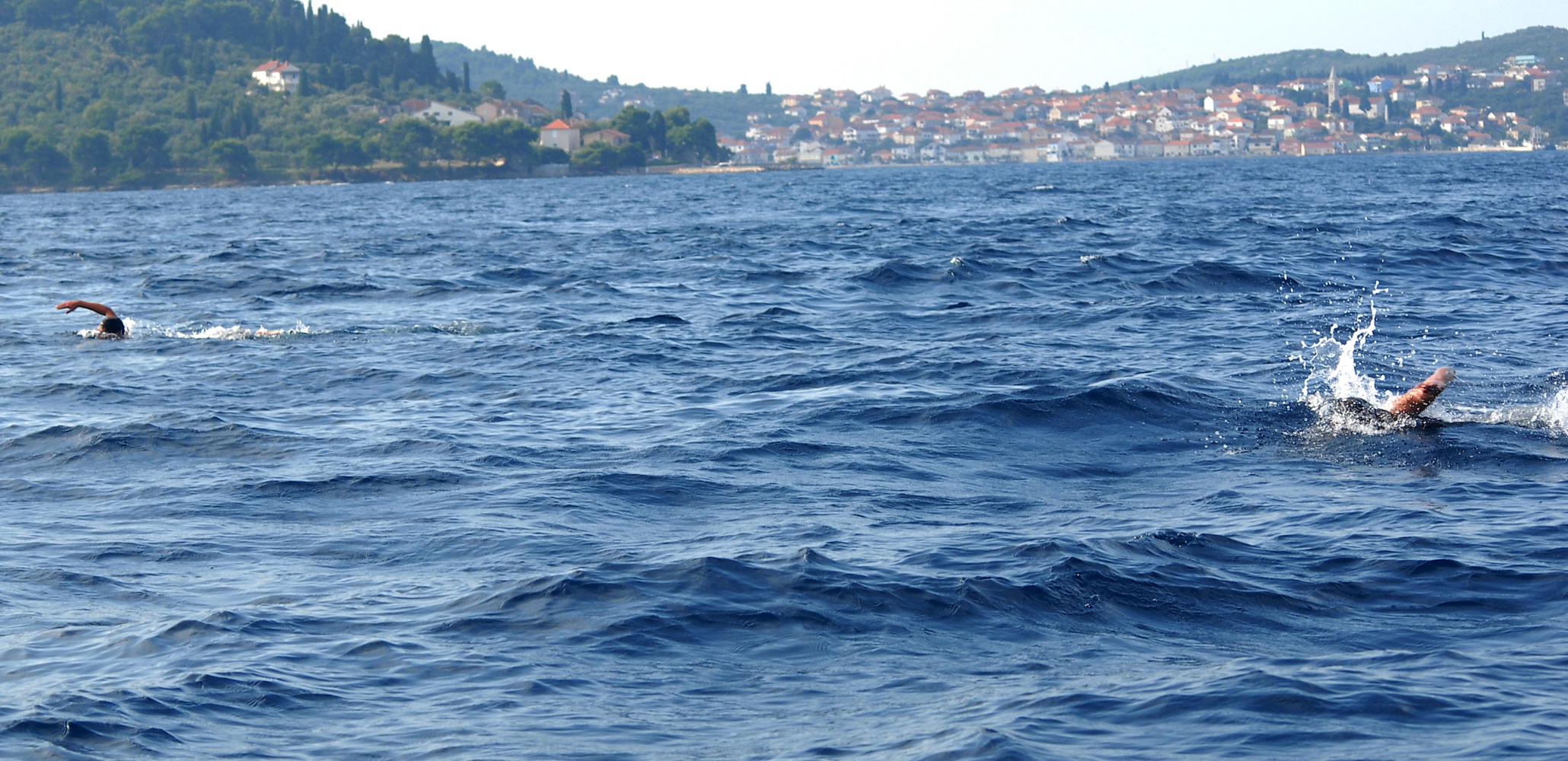 42. plivački maraton Preko – Zadar, Foto: PK Zadar