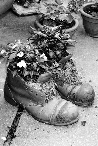 Tomislav M. Bilosnić: Raj gdje je ugljen bio kralj Tomislav M. Bilosnić: Raj gdje je ugljen bio kralj