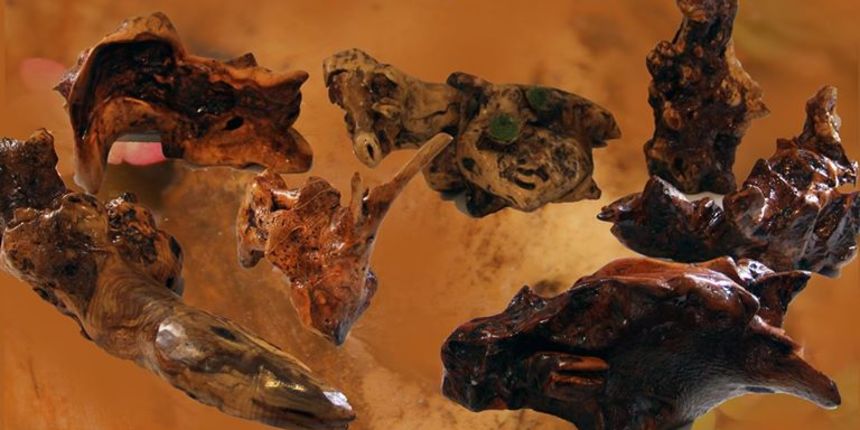 Izložba “Tkonski korijeni” (maslina Davorke Smoljan Izložba “Tkonski korijeni” (maslina Davorke Smoljan