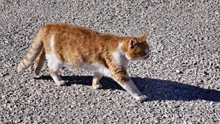 Bonaca ispod Paškog mosta i na otoku Pagu Bonaca ispod Paškog mosta i na otoku Pagu