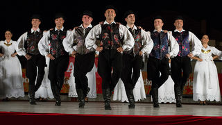 Bibinje: Nastup ansambla Lado, foto: Leo Banić