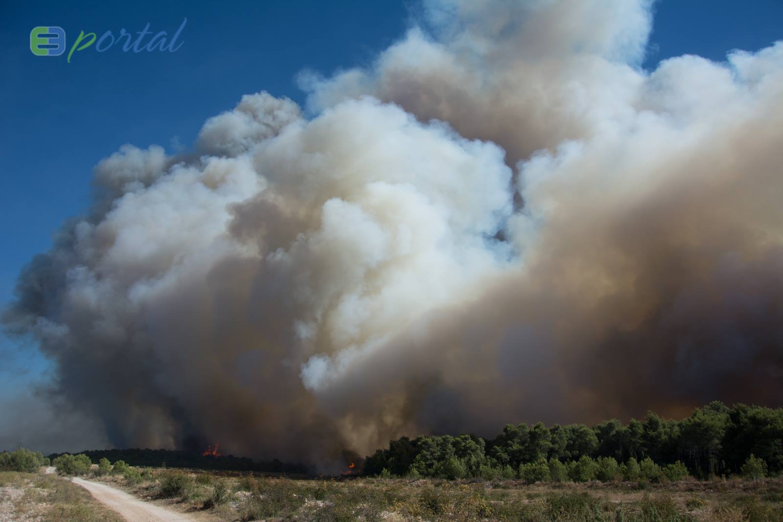 Zemaljske i zračne vatrogasne snage gase veliki šumski požar kod Crvene luke. Foto: Franjo Jurić/eBiograd Zemaljske i zračne vatrogasne snage gase veliki šumski požar kod Crvene luke. Foto: Franjo Jurić/eBiograd
