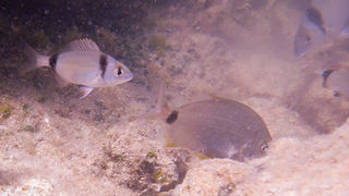 OLYMPUS DIGITAL CAMERA OLYMPUS DIGITAL CAMERA