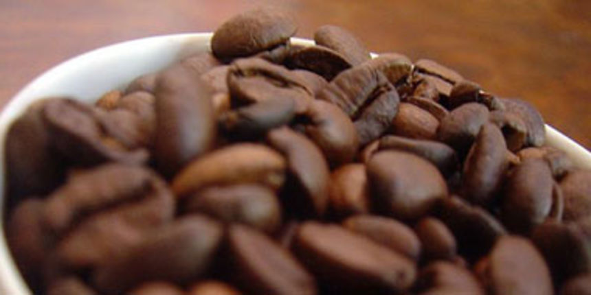 Kava ( foto:totalportal.hr )