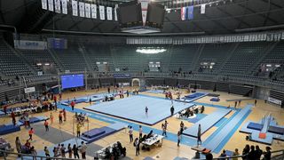 sc visnjik ilustracija