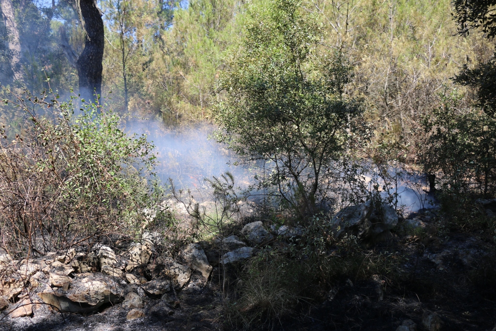 Vir: Požar u Lozicama u potpunosti ugašen Vir: Požar u Lozicama u potpunosti ugašen