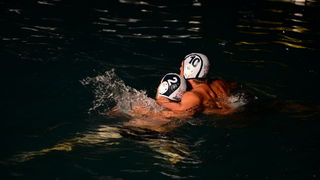 VAK”AN”ZA 31%, finale: Reptili – Nesvrstani 2-4 VAK”AN”ZA 31%, finale: Reptili – Nesvrstani 2-4