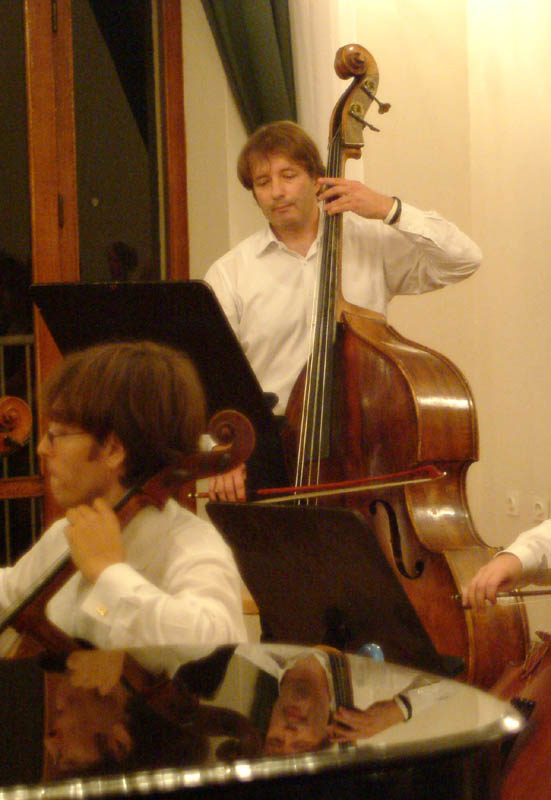 Zadarski komorni orkestar