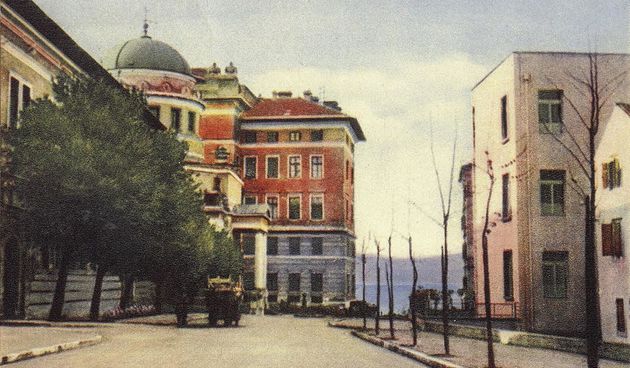Platane su u ulici R. Boškovića posađene 1937. godine