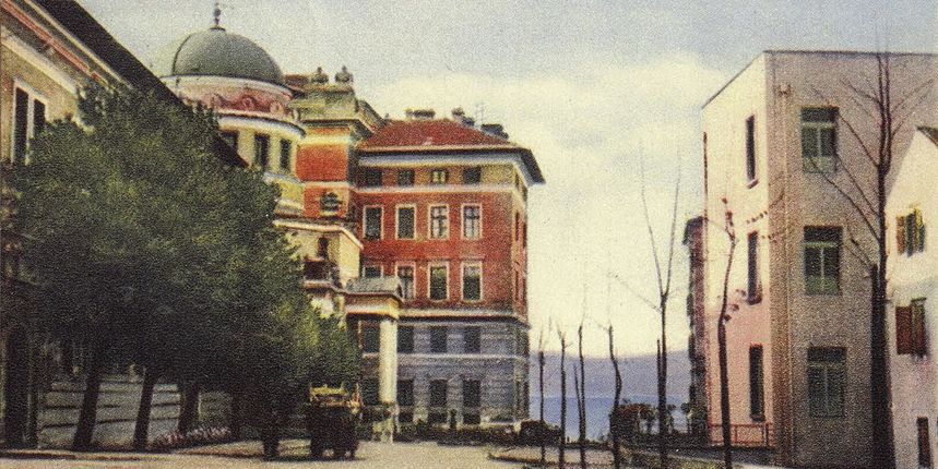 Platane su u ulici R. Boškovića posađene 1937. godine