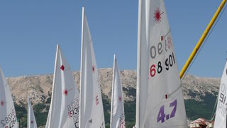 Crna ovca u Baški na otoku Krku Crna ovca u Baški na otoku Krku