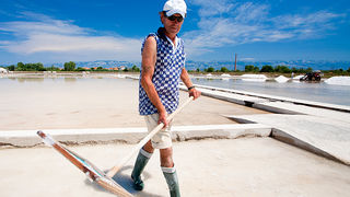 Solana Nin, berba soli, foto: Leo Banić