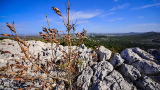 Nedjeljni đir do Parka prirode Vransko jezero i vidikovca Kamenjak, foto: Iva Perinčić Nedjeljni đir do Parka prirode Vransko jezero i vidikovca Kamenjak, foto: Iva Perinčić