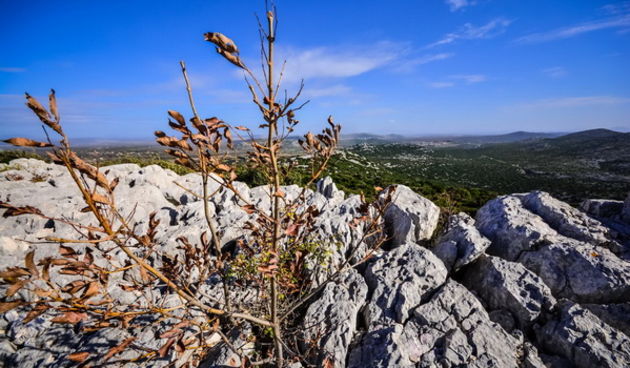 Nedjeljni đir do Parka prirode Vransko jezero i vidikovca Kamenjak, foto: Iva Perinčić