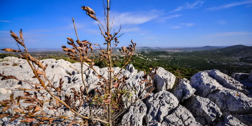 Nedjeljni đir do Parka prirode Vransko jezero i vidikovca Kamenjak, foto: Iva Perinčić