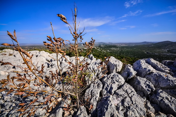 Nedjeljni đir do Parka prirode Vransko jezero i vidikovca Kamenjak, foto: Iva Perinčić Nedjeljni đir do Parka prirode Vransko jezero i vidikovca Kamenjak, foto: Iva Perinčić