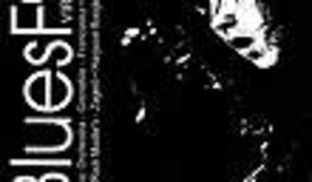 Rock-blues festival u Virovitici ( Foto: muzika.hr)