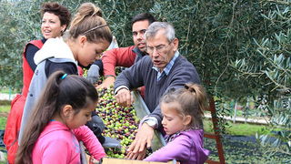 U berbi maslina, Foto: Leo Banić