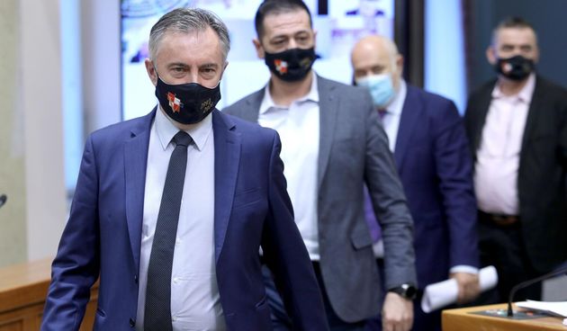 Miroslav Škoro, domovinski pokret