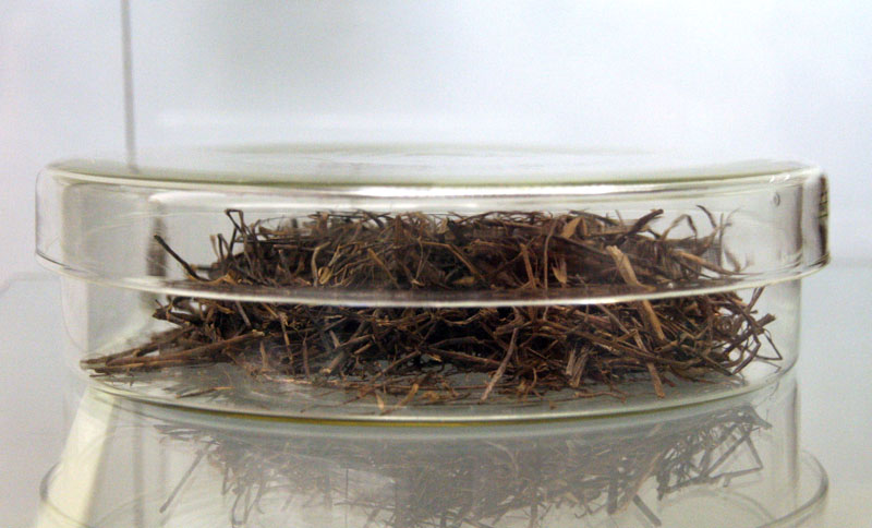 Izložba ‘Hrvatski Apoksiomen’ (foto: A. Gospić)