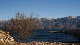 Krajolici zadarskog zaledja