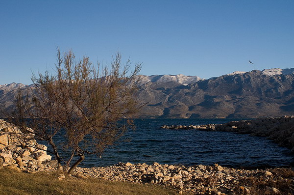 Krajolici zadarskog zaledja