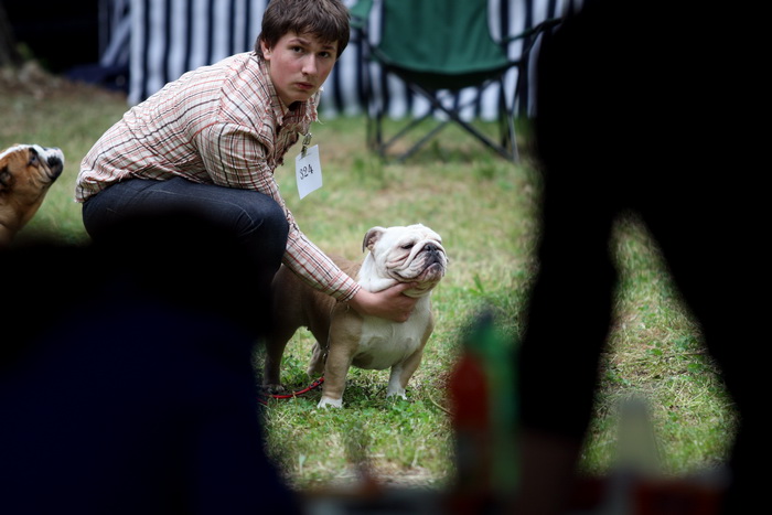 Zadar, 020513.  
Kamp na zadarskom predjelu Borik. 13. po redu medjunarodna izlozba pasa CACIB Zadar dog show 2013. 
Foto: Jure Miskovic / CROPIX