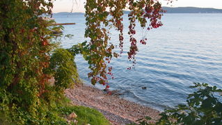 Đir po Karmi 18. listopada 2012. foto: Robert Brkljača Đir po Karmi 18. listopada 2012. foto: Robert Brkljača