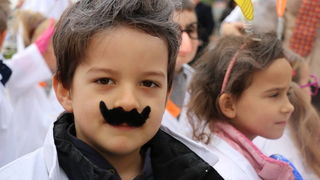 Virski karnevalić 2016. Virski karnevalić 2016.