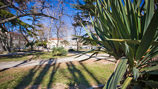 Đir zadarskim parkovima,27. veljače 2012. (foto:Saša Čuka)