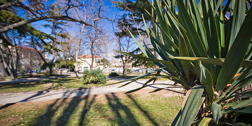 Đir zadarskim parkovima,27. veljače 2012. (foto:Saša Čuka)