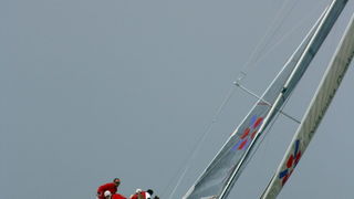 ORC kup Hrvatske: Zadarki kup 2010., Foto. Mladen Malik