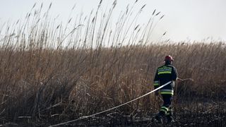 Požar u ornitološkom rezervatu Parka prirodeP Vransko jezero Požar u ornitološkom rezervatu Parka prirodeP Vransko jezero