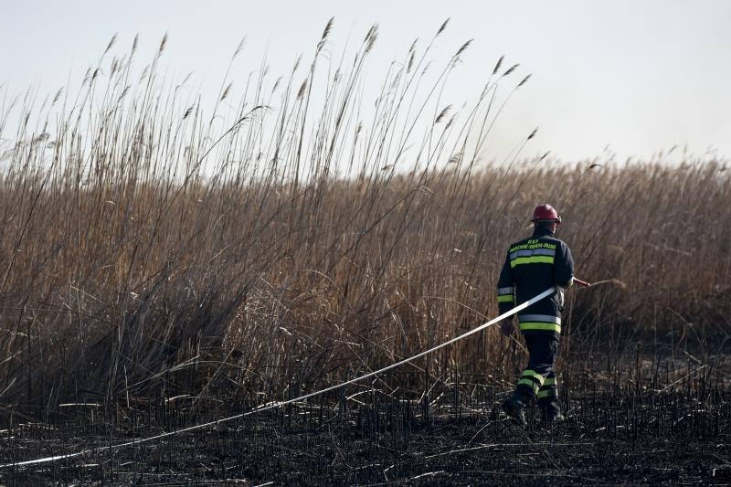 Požar u ornitološkom rezervatu Parka prirodeP Vransko jezero Požar u ornitološkom rezervatu Parka prirodeP Vransko jezero