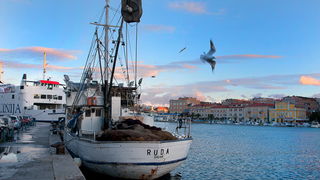 Zadarsko svitanje 14. prosinca 2010, Foto: Leo Banic