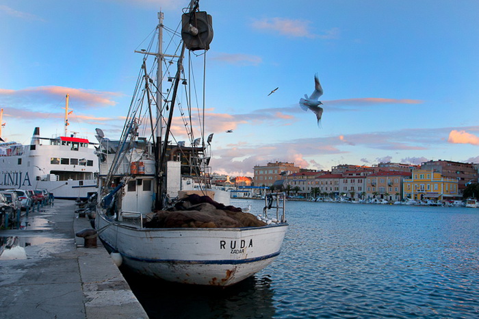 Zadarsko svitanje 14. prosinca 2010, Foto: Leo Banic
