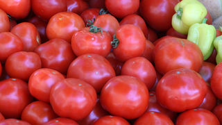 Image 1200379 (auto)