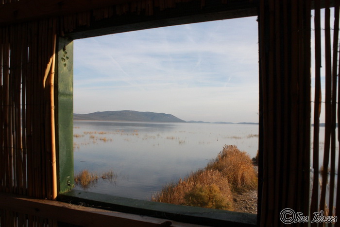 Đir uz Vransko jezero, Foto: Iva Perinić Đir uz Vransko jezero, Foto: Iva Perinić