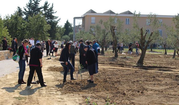 Obilježen Međunarodni dan starijih osoba, sadnja maslina u domu