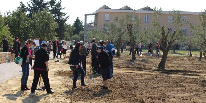 Obilježen Međunarodni dan starijih osoba, sadnja maslina u domu