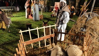 Diklo: Na Bunarima na blagdan sv. Stjepana uprilične žive jaslice Udruge Kveštura. Foto: Iva Perinčić Diklo: Na Bunarima na blagdan sv. Stjepana uprilične žive jaslice Udruge Kveštura. Foto: Iva Perinčić