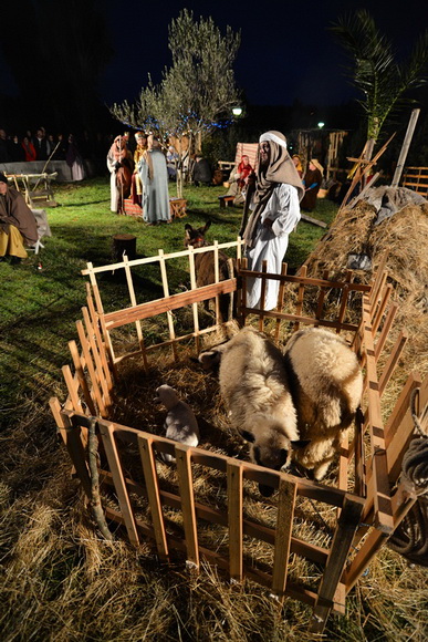 Diklo: Na Bunarima na blagdan sv. Stjepana uprilične žive jaslice Udruge Kveštura. Foto: Iva Perinčić Diklo: Na Bunarima na blagdan sv. Stjepana uprilične žive jaslice Udruge Kveštura. Foto: Iva Perinčić