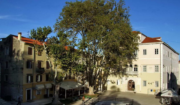 Đir po gradu 18. listopada 2012., Trg Petra Zoranića, foto: Leonard Kvarantan