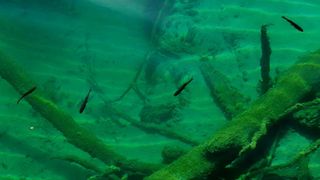 NP Plitvička jezera, listopad 2021.